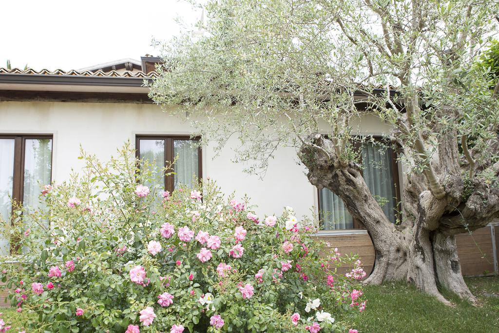 Agriturismo Il Granaio Hotel & Spa 모디카 외부 사진
